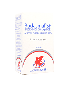 BUDASMAL SF 200MCG/DOSIS AEROSOL PARA INHALACION 2